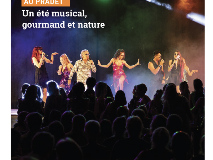 Petites Affiches VAR (…)