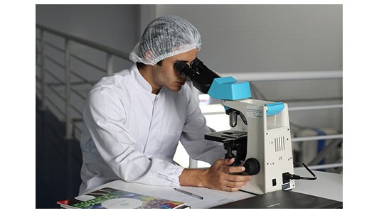 La filière Sciences du Vivant : une activité et des implantations dynamiques