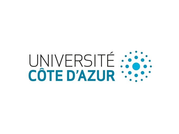 Création de l'Université