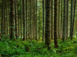 Avec son pôle 'Capital Naturel', Crédit Agricole veut contribuer au financement de la régénération des écosystèmes