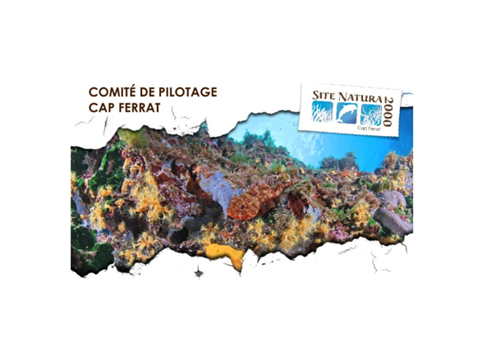Les acteurs maritimes (…)