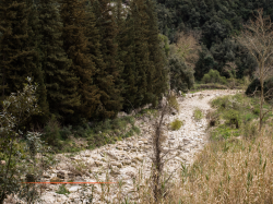 Sécheresse dans les Bouches-du-Rhône : trois secteurs maintenus en alerte renforcée