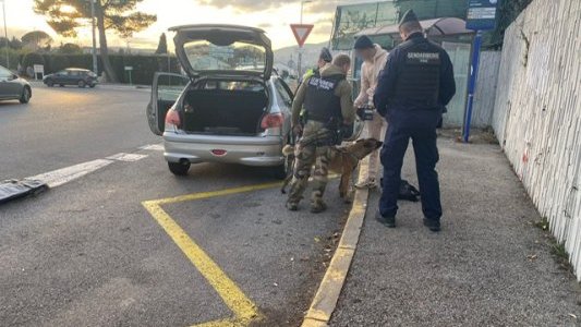 Sécurité routière et lutte antistupéfiants : Bilan des derniers contrôles renforcés dans les Alpes-Maritimes