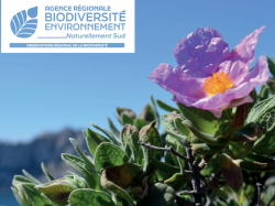 Biodiversité : en Provence-Alpes-Côte d'Azur, un patrimoine naturel riche mais sous pression