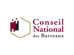 Le Conseil National des Barreaux et les Institutions mondiales en soutien aux avocats turcs