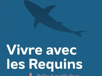 Boîte à outils « Vivre avec les Requins » : Et si l'on pouvait efficacement se protéger des attaques ?
