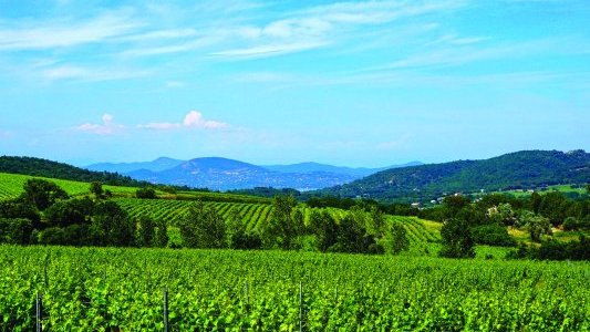 Le régime du Bail à ferme : un équilibre précaire entre des intérêts contradictoires