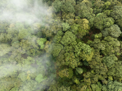 Colombie : Vers une économie durable soutenue par la taxonomie verte