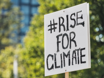 4e Accélérateur de solutions-climat : Vingt startups sélectionnées à Cannes pour accélérer l'innovation climatique
