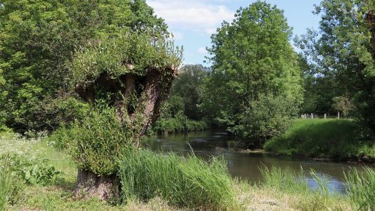 Agence de l'eau : quel est l'état de santé des cours d'eau méditerranéens ?
