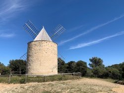 Des travaux de normalisation de débroussaillement des pistes à Porquerolles