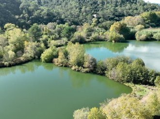 Hyères : la biodiversité préservée aux étangs de Sauvebonne