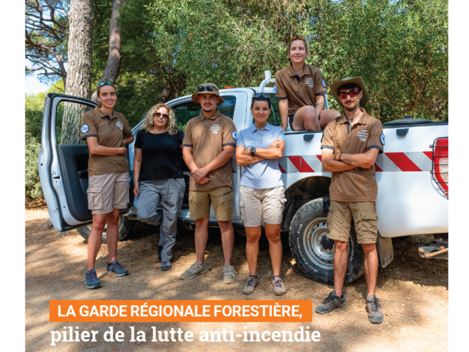 Petites Affiches VAR (…)
