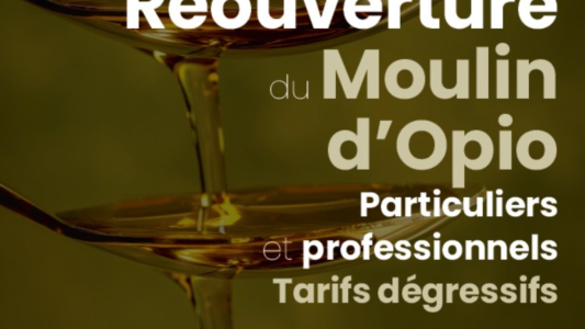 À Opio, le moulin rouvre durablement pour soutenir la filière oléicole