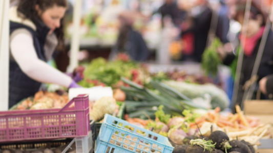 Beausoleil : marché pour l'attribution de cabines à la Halle du Marché Gustave Eiffel 