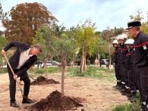 À Biot, dix ans après la tragédie de 2015, des oliviers plantés pour enraciner la mémoire et l'espoir