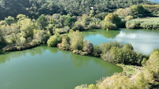 Hyères : la biodiversité préservée aux étangs de Sauvebonne