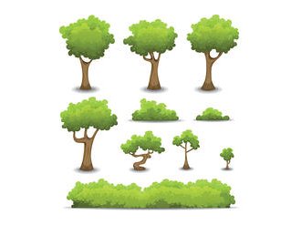 Xylella Fastidiosa en région Provence-Alpes-Côte d'Azur : trois nouveaux foyers confirmés dans les Alpes-Maritimes