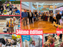 Une Rose pour un Chien Guide : 11 630 roses vendues et plus de 24 000€ collectés