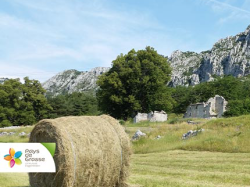 Mardi 19 novembre, 2èmes Assises de l'Agriculture du Pays de Grasse 