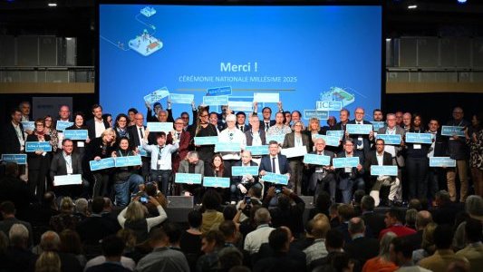 Cannes, Nice et Mandelieu-La Napoule distinguées par le label « Ville Active et Sportive » niveau 3 et 4 lauriers