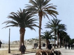 À ne pas rater ! 'Et Dieu créa la Côte d'Azur' ce mercredi 15 mai sur France 3 Côte d'Azur