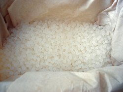 Les nouvelles filières écologiques