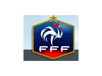 Match numérique : la FFF dématérialise son Comité Exécutif et son Bureau Exécutif de la Ligue du Football Amateur avec Leading Boards