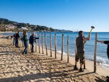Lavandou, des solutions douces pour lutter contre l'érosion côtière