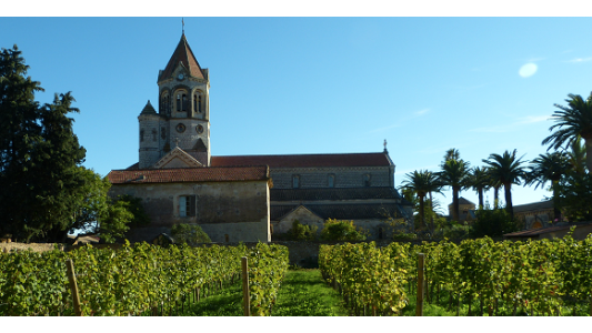 Ventes aux enchères de la récolte du Clos de la Charité le 5 octobre
