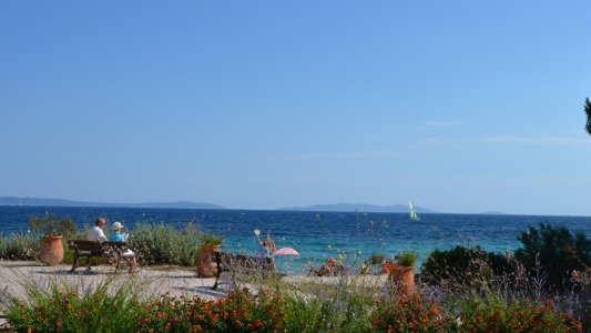 Au Lavandou, un carnet de bord pour préserver la biodiversité de la ZMEL de Cavalière