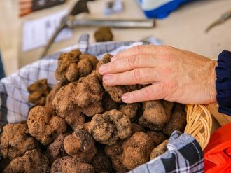 À Saint-Jean-Cap-Ferrat, la truffe locale s'invite au cœur du village