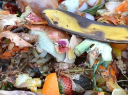 CAP AZUR distribue gratuitement des équipements de compostage