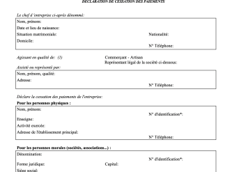 Demande d'ouverture d'une procédure de redressement judiciaire