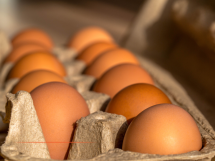 Vos échos juridiques hebdomadaires