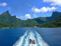 Biodiversité : la France affiche ses bonnes intentions