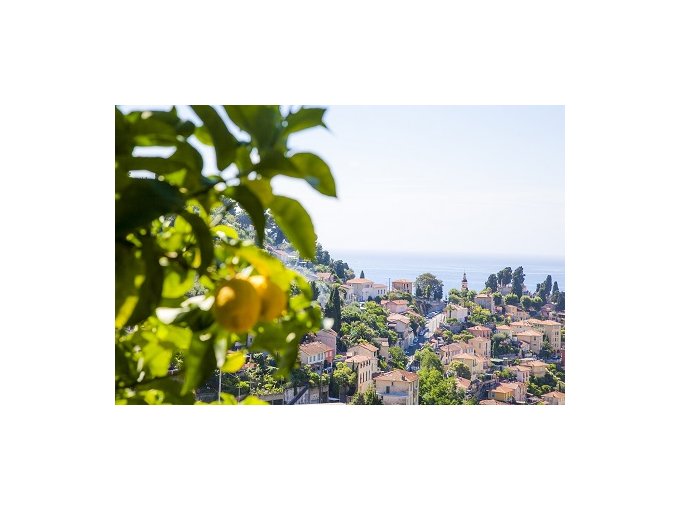 Le Citron de Menton, (…)