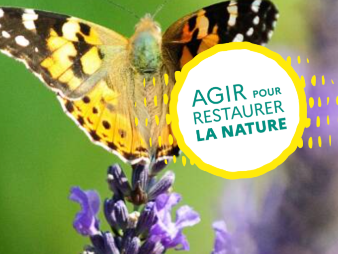 Une consultation national