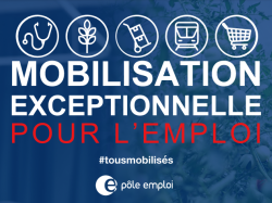 Plus 11 000 offres déjà disponibles sur la plateforme "Mobilisation Emploi"