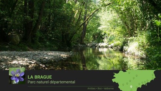 Réouverture des parcs naturels départementaux ce mercredi 13 mai 2020