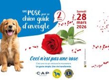 Une rose pour financer un chien guide dans les Alpes-Maritimes