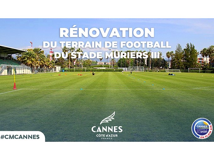 Stade des Mûriers III (…)