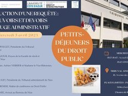 Petit déjeuner Droit Public : "L'instruction d'une requête, pouvoirs et devoirs du juge administratif"
