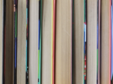 Festival du Livre de Nice : Huit romans en lice pour le 30e Prix « Nice Baie des Anges »