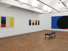 Saint-Paul-de-Vence : la Fondation Maeght explore l'univers d'Ellsworth Kelly