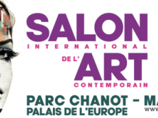 Du 20 au 23 mars, le Salon International de l'Art fête ses 25 ans