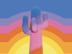 "Cactus" à découvrir au Nouveau Musée National de Monaco à partir du 6 juillet