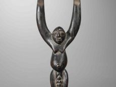 Exposition : L'art de faire mouche !