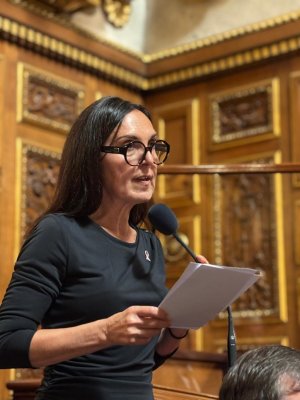 Questions écrites au Gouvernement : Patricia Demas propose de créer un « (…)