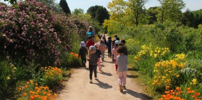 À l’ombre, à l’aube ou sous les étoiles : les Jardins du MIP s’adaptent déjà (…)